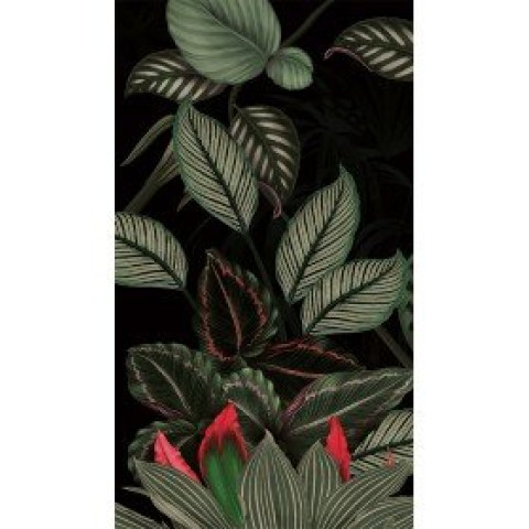 Plaques panoramique - dimensions & coloris aux choix