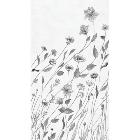 Plaques panoramique - dimensions & coloris aux choix