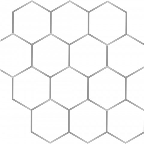 Grillage à poule 1 x 10 m hexagonal galva