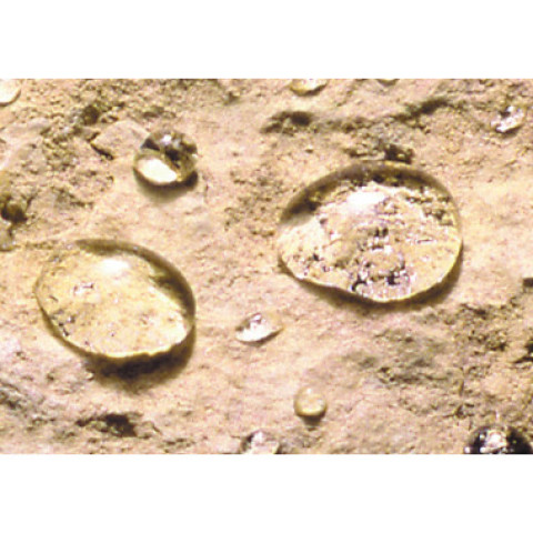 Imperguard ultra protection sol mat - imperméabilisant effet mat – sol poreux-pierre béton dalle pavé - incolore - Conditionnement au choix