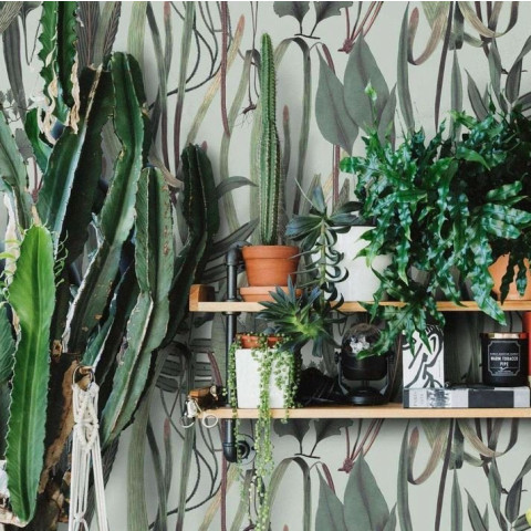Papier peint botanique vert - HERBS++