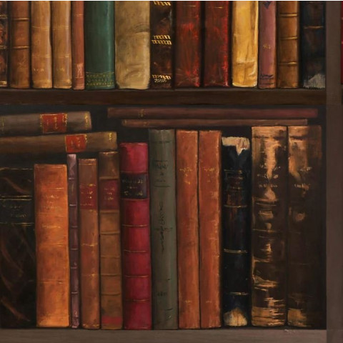 Papier peint d'étagère bibliothèque antique - VINTAGEBOOKS++
