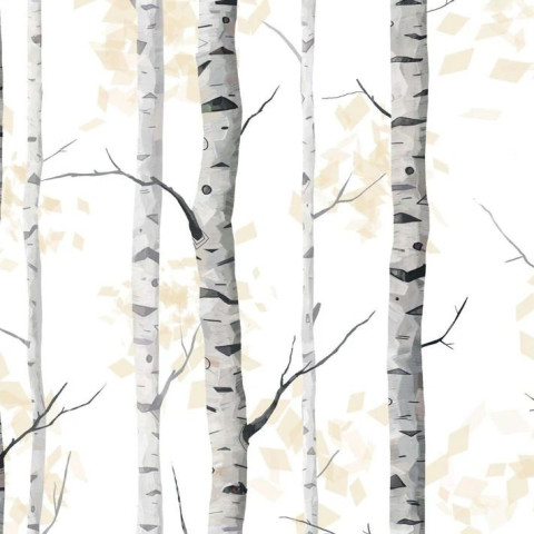 Papier peint forêt de bouleaux noir et blanc - BETULLE++