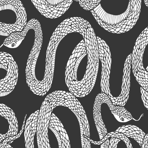 Papier peint serpents noir et blanc - SERPENTISHUT++