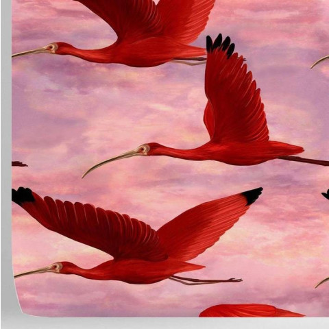 Papier peint tropical oiseaux roses - IBIS++