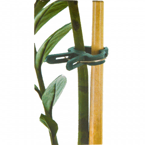 Pince attaches plantes 20 pièces
