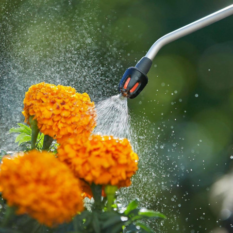 Pulvérisateur à pression préalable 5 L - GARDENA - 11130-20