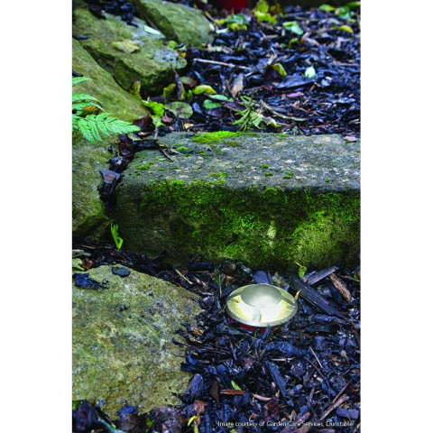 Spot fusion9, acier inoxydable, led