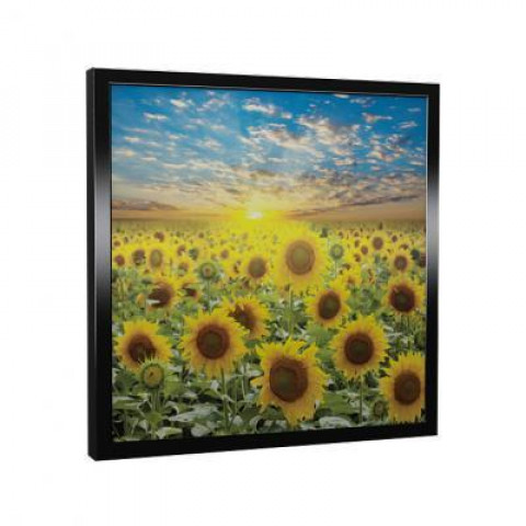 Sunbox G Flowers – Cadre Noir (600x600x300)