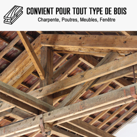 Traitement capricorne et insecte bois : traitement des bois, charpente, ossature intérieur ou extérieur - Conditionnement au choix